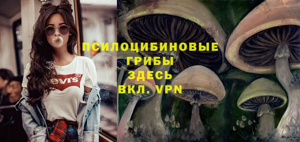 ALPHA PVP Белокуриха