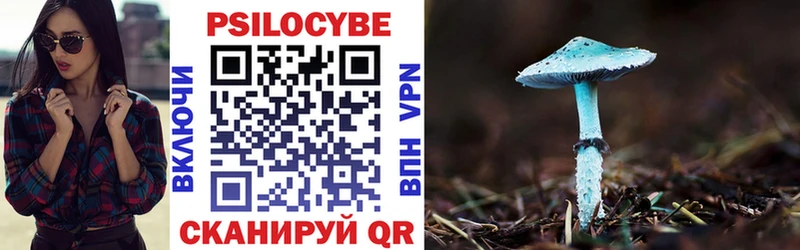 Псилоцибиновые грибы мицелий  Мглин 